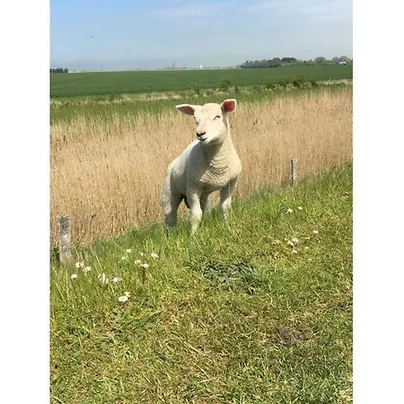 Kleine Freiheit Fehmarn Kopendorf